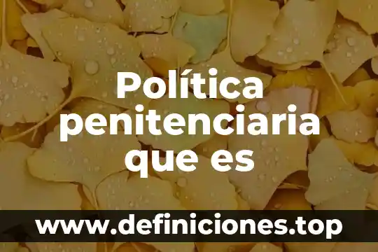Que es politica crediticia 6 Política penitenciaria que es