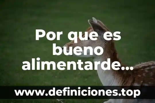 Por que es bueno alimentarde bien