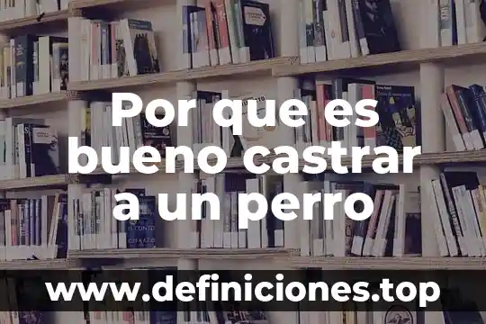 Que es un tipo en las razas de perro 5 Por que es bueno castrar a un perro