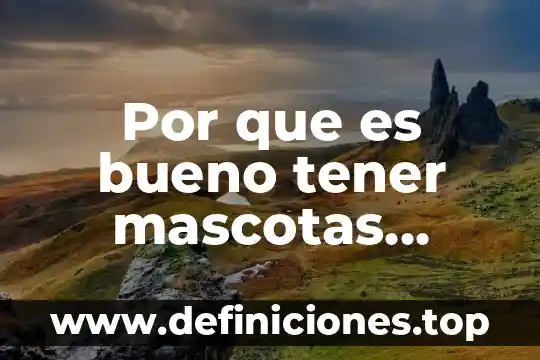 Por que es bueno tener mascotas salvajes en casa