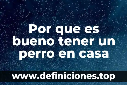 Por que es importante tener una firma unica 6 Por que es bueno tener un perro en casa