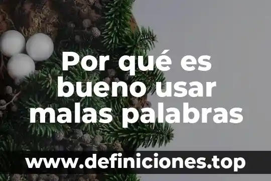 Qué es mejor usar hilo o cachetero 5 Por qué es bueno usar malas palabras