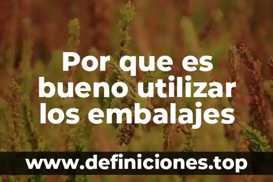Plidan compuesto para que es bueno 3 Por que es bueno utilizar los embalajes
