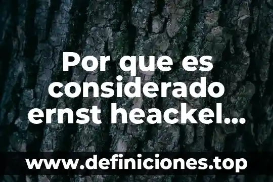 Arte en florencia que es considerado arte 3 Por que es considerado ernst heackel elpadre de la biologia