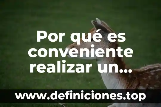 Que es la segmentar mercado 3 Por qué es conveniente realizar un estudio de mercado