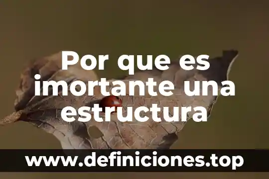 Que es un receptor quimico 8 Por que es imortante una estructura