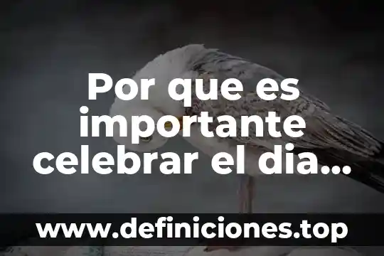Por que es importante celebrar el dia de la bandera