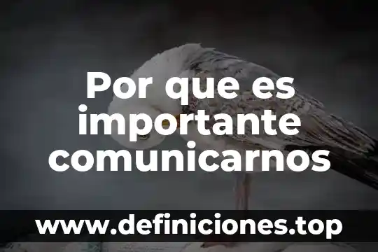 Qué es mejor Medrano o Zapotlanejo 8 Por que es importante comunicarnos