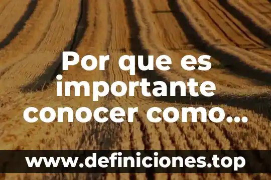 Por que es importante conocer como esta formado los atomos