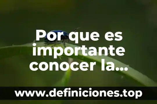 Por que es importante conocer la oferta