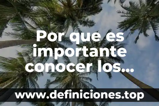 Que es lo que da a conocer el balle 6 Por que es importante conocer los trazos geometricos