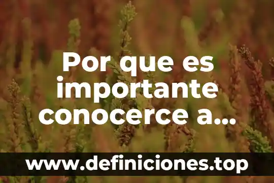 Que es ser permisivo con uno mismo 7 Por que es importante conocerce a uno mismo