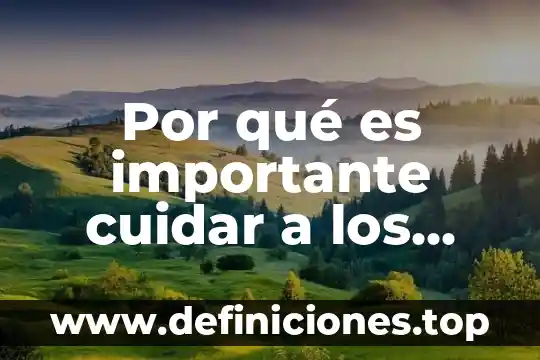 Por que es importante la firma de las escrituras 6 Por qué es importante cuidar a los animales