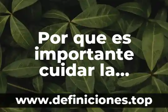Por que es importante cuidar la electricidad el agua potable