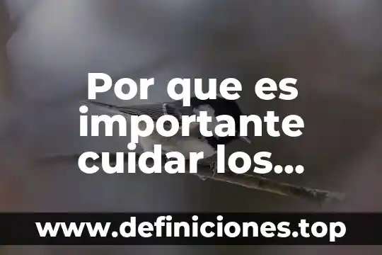 Por que es importante cuidar los dientes del caballo