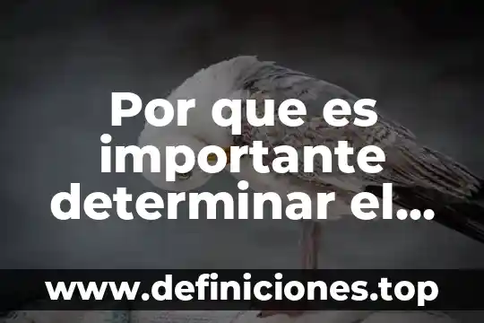 Por que es importante determinar el cloro en agua cruda