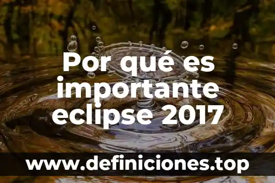Que es eclipse en programacion java 8 Por qué es importante eclipse 2017