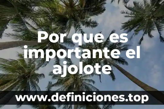 Por que es importante la firma de las escrituras 4 Por que es importante el ajolote