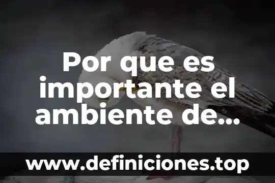 Que es un escenario virtual de aprendizaje 7 Por que es importante el ambiente de aprendizaje