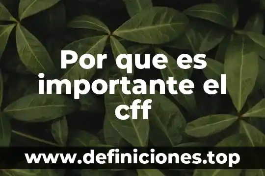 Por que es importante el cff