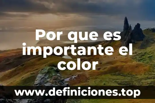 Por que es importante una empresa 8 Por que es importante el color