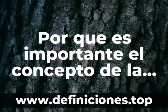 Share social que es 6 Por que es importante el concepto de la relacion social