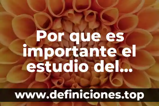 Por que es importante el estudio del comportamiento org