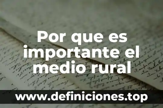 Qué es modelo rural 6 Por que es importante el medio rural
