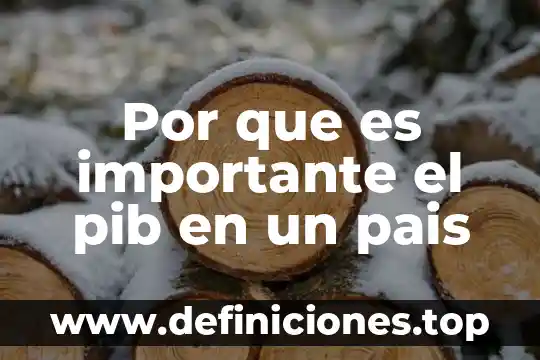 Qué es política económica de un país 4 Por que es importante el pib en un pais