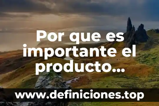 Que es el consumo bruto de electricidad 3 Por que es importante el producto interno bruto