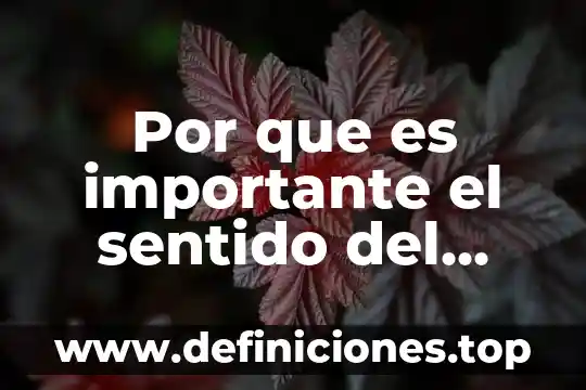 Qué es el sentido del gusto y sus partes 4 Por que es importante el sentido del gusto