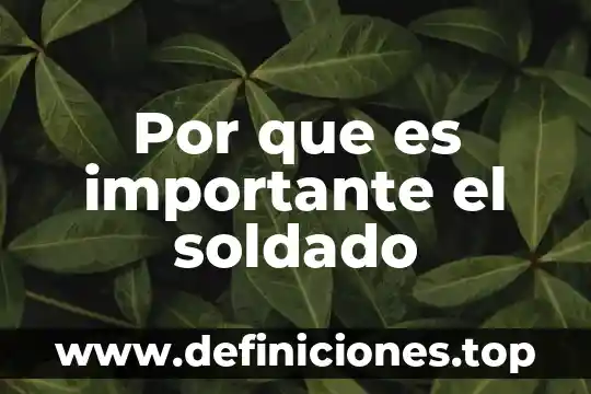 Por que es importante el soldado