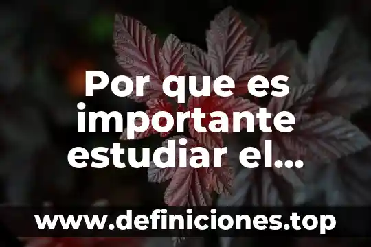 Por qué es importante estudiar geografía conclusión 3 Por que es importante estudiar el abuso sexual infantil