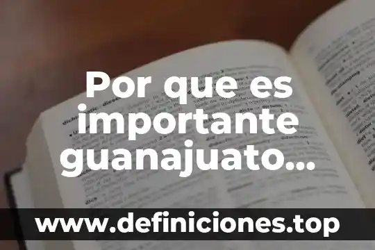 Que es mejor el sexo anal 7 Por que es importante guanajuato para la economia
