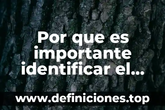 Qué es mejor para identificar conmociones RM o TAC 5 Por que es importante identificar el tipo de datos
