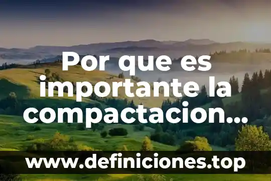 Por que es importante la reflexion etica 4 Por que es importante la compactacion en el suelo