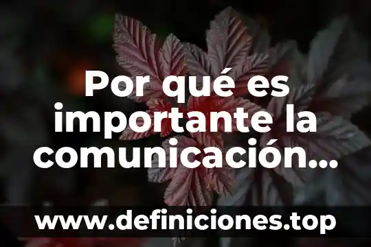 Que es arqueolítico caracteristicas 7 Por qué es importante la comunicación para la vida