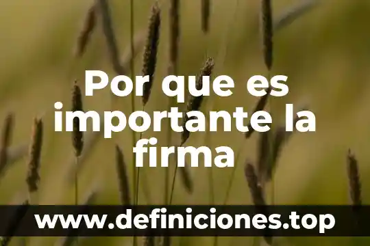 Por que es importante la firma de las escrituras 5 Por que es importante la firma