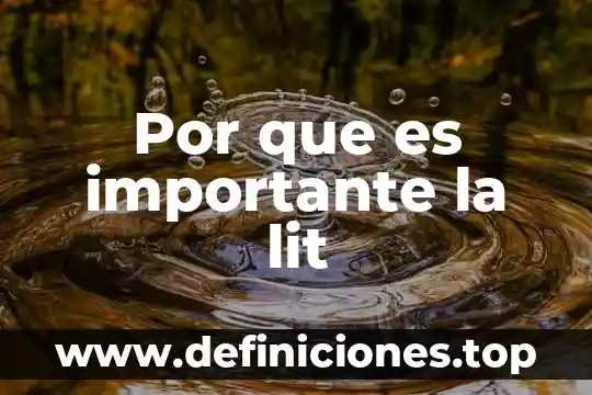 Por que es importante la lit