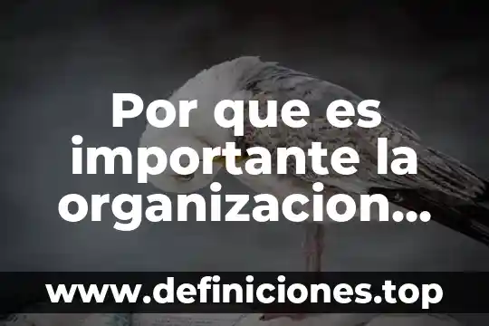Por que es importante la risa terapia 7 Por que es importante la organizacion como proceso administrativo