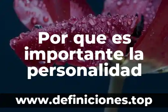 Qué es extinción de la personalidad internacional del estado 4 Por que es importante la personalidad