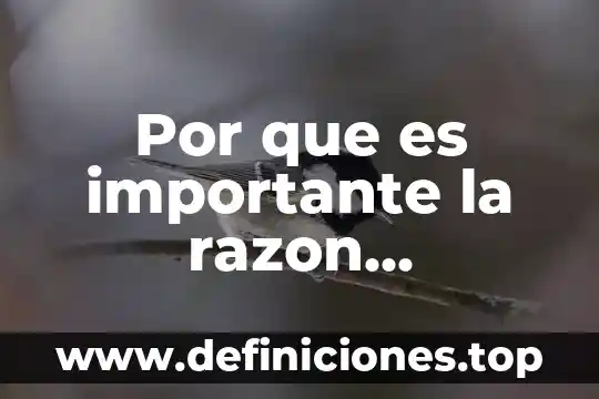 Que es rentabilidad etica 5 Por que es importante la razon financiera de rentabilidad