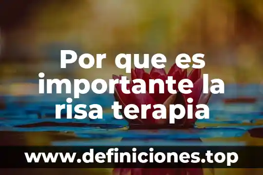 Para que es importante los censos 8 Por que es importante la risa terapia
