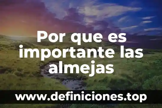 Que es ser un gallego 7 Por que es importante las almejas