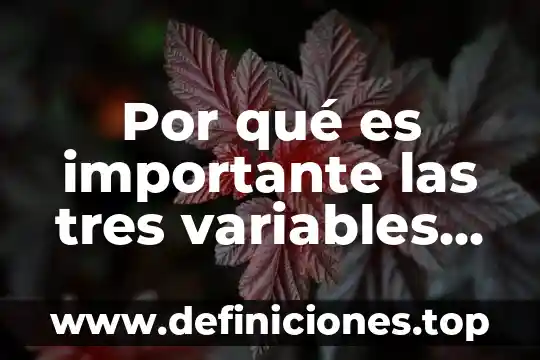 Por qué es importante las tres variables de desarrollo humano