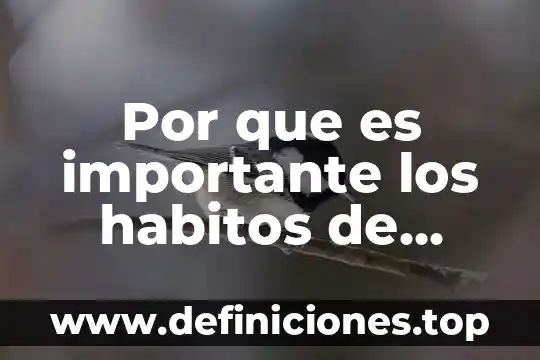 Por que es importante los habitos de higiene