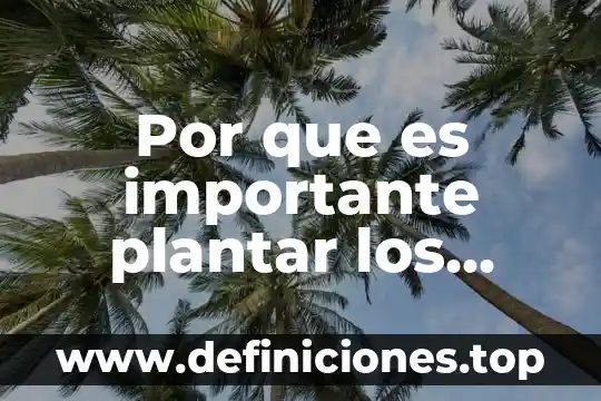 Por que es importante plantar los arboles