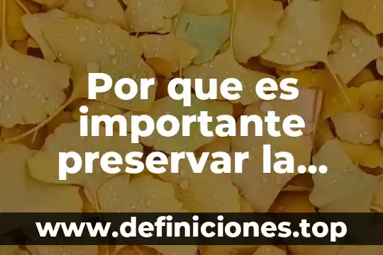 Por que es importante preservar la culturas indígenas