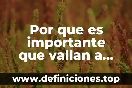 Qué es un programa de entrenamiento cognitivo 8 Por que es importante que vallan a votar las personas