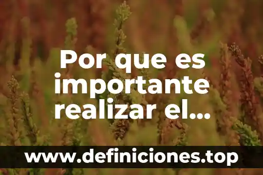 Por que es importante realizar la limpieza del cultivo 4 Por que es importante realizar el esquema de mayor contabilidad